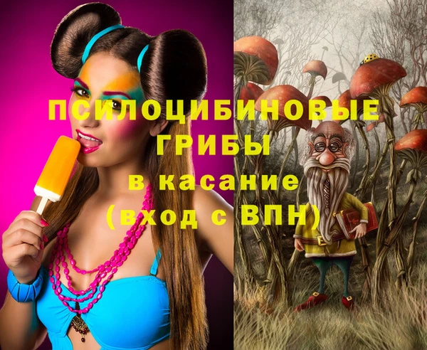 ПСИЛОЦИБИНОВЫЕ ГРИБЫ Тавда